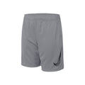 Dri-Fit HBR Shorts Boys - grey,