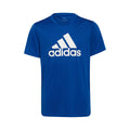 Big Logo T-Shirt Boys - blue, white
