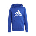 Big Logo Cotton Hoody Boys - blue, white
