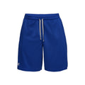 Tech Mesh Shorts Men - blue, lightgrey