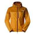 orange_5794