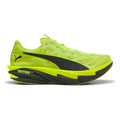 lime_8439