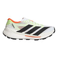 Terrex Agravic TT Trail running shoe Men - white, black