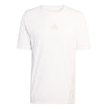 Terrex XPR  Running shirt Men-white