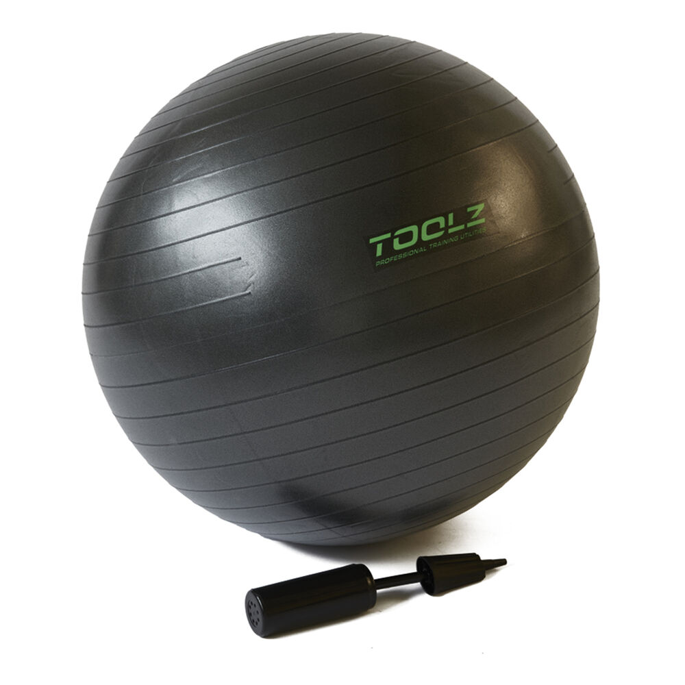 TOOLZ 55cm Exercise Ball