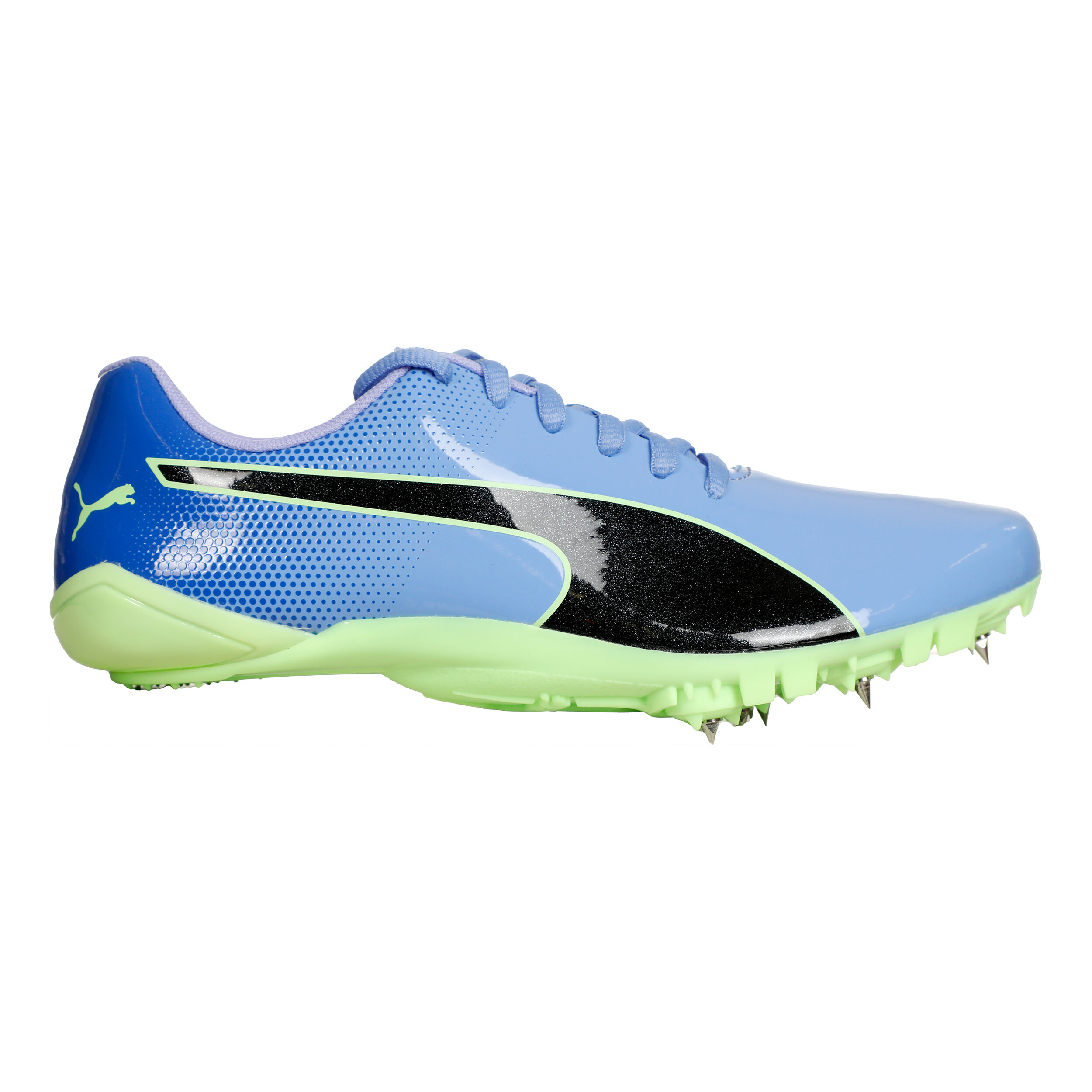 EvoSPEED Prep Sprint 3 Spike Shoes Violet Black