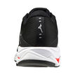 Mizuno