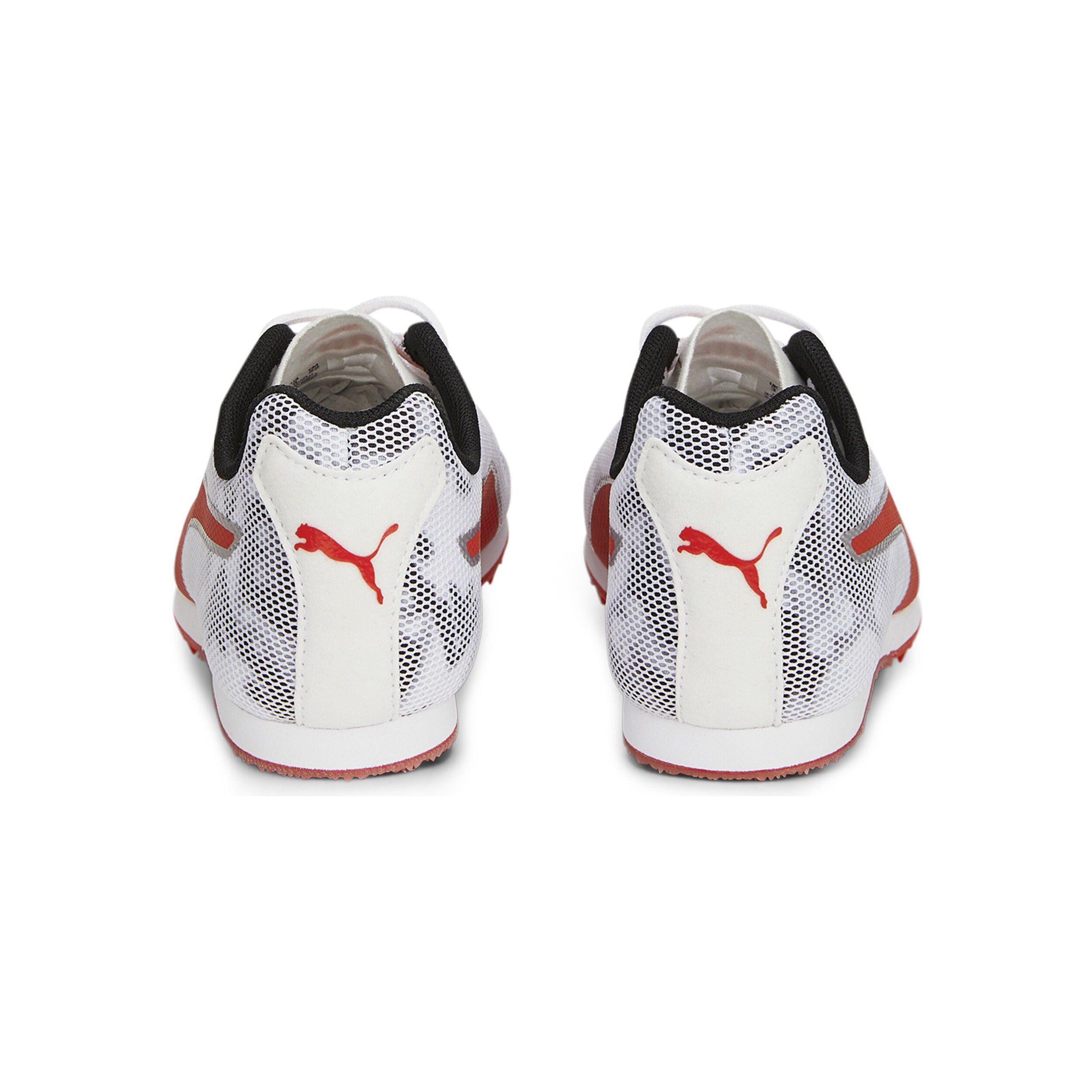 Buy Puma EvoSPEED Star 8 Spike Shoes Kids Black White online Running Point UK