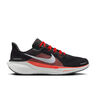 Pegasus 41