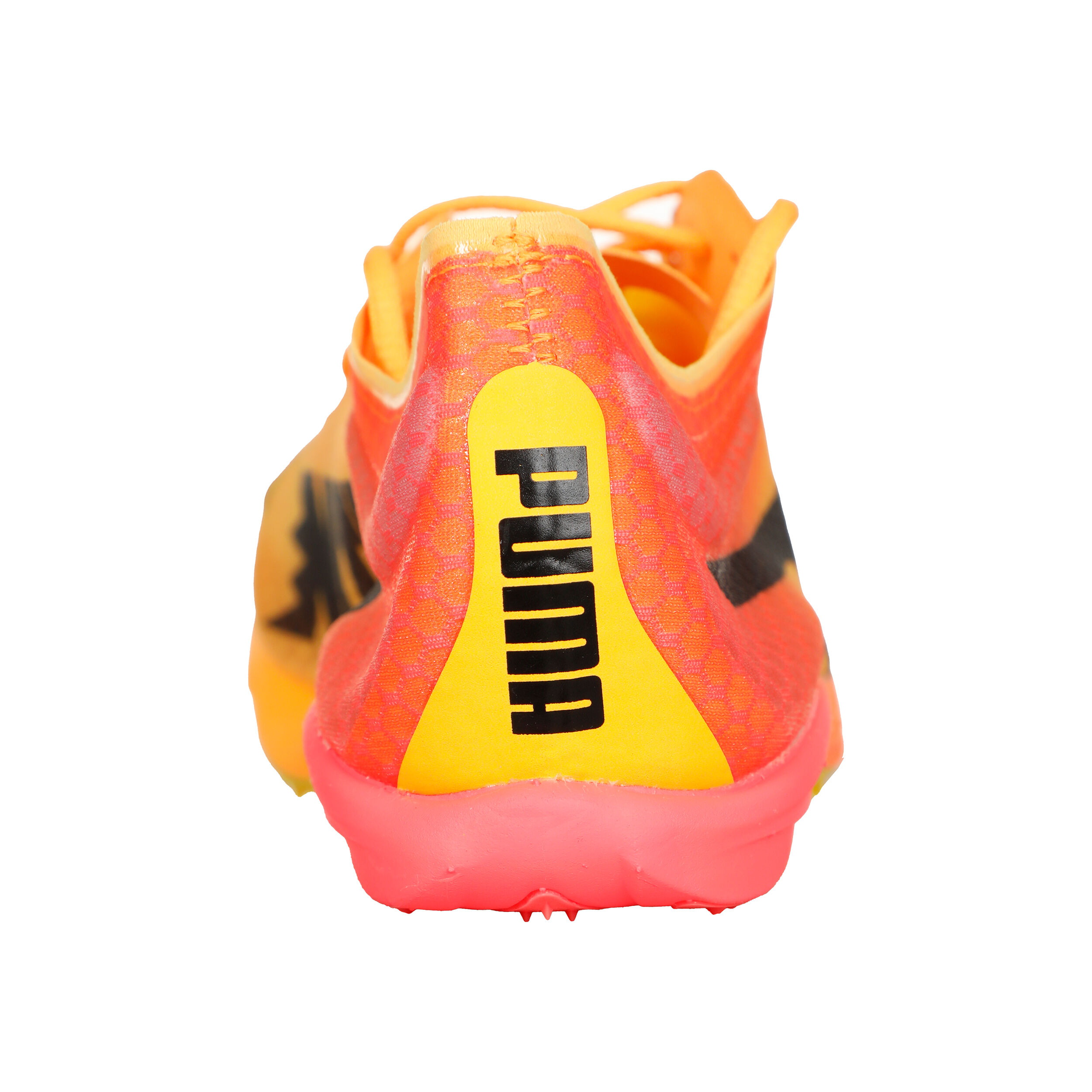 Buy Puma EvoSPEED Distance Nitro Elite+ 4 Spike Shoes Orange