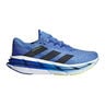 Adistar BYD