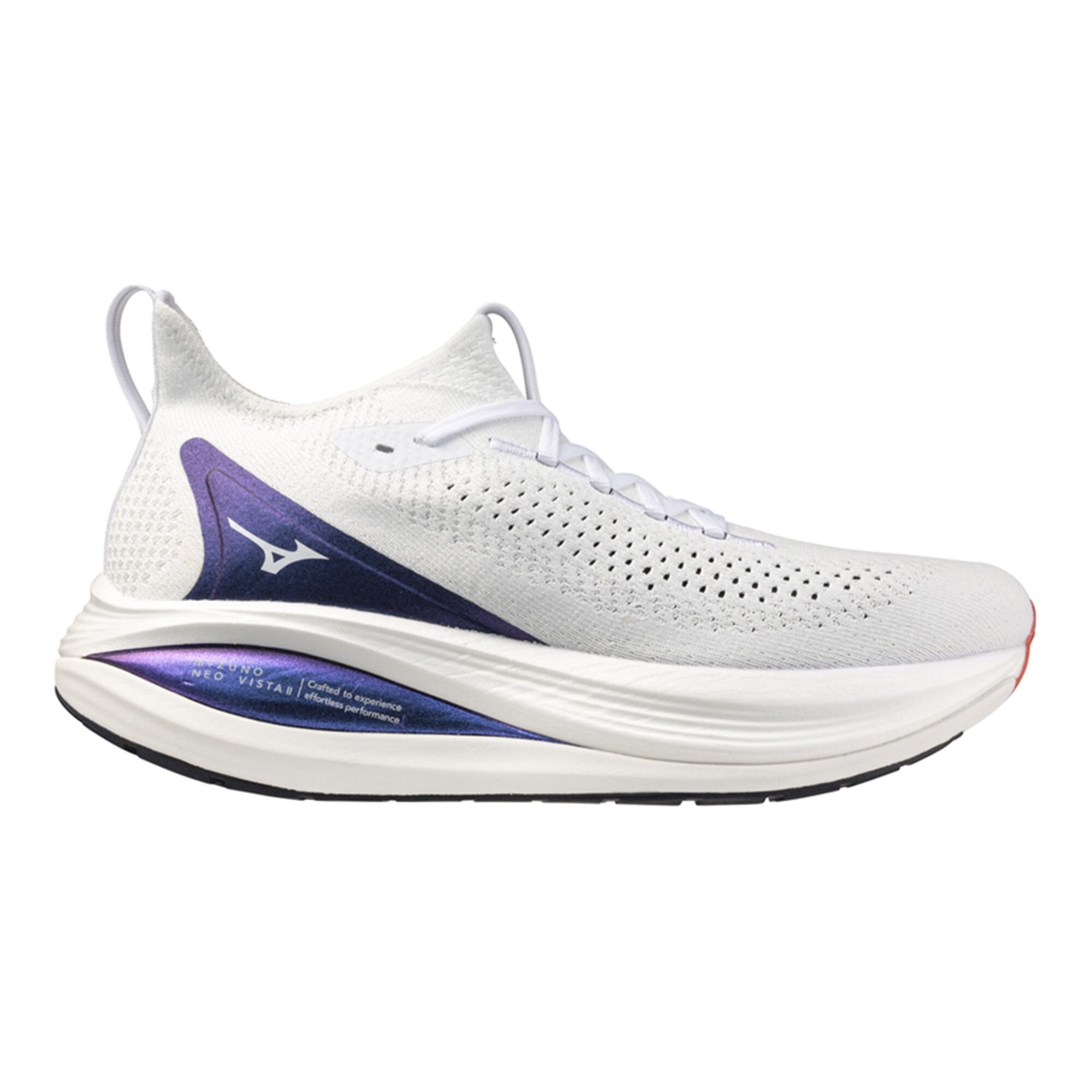 Mizuno