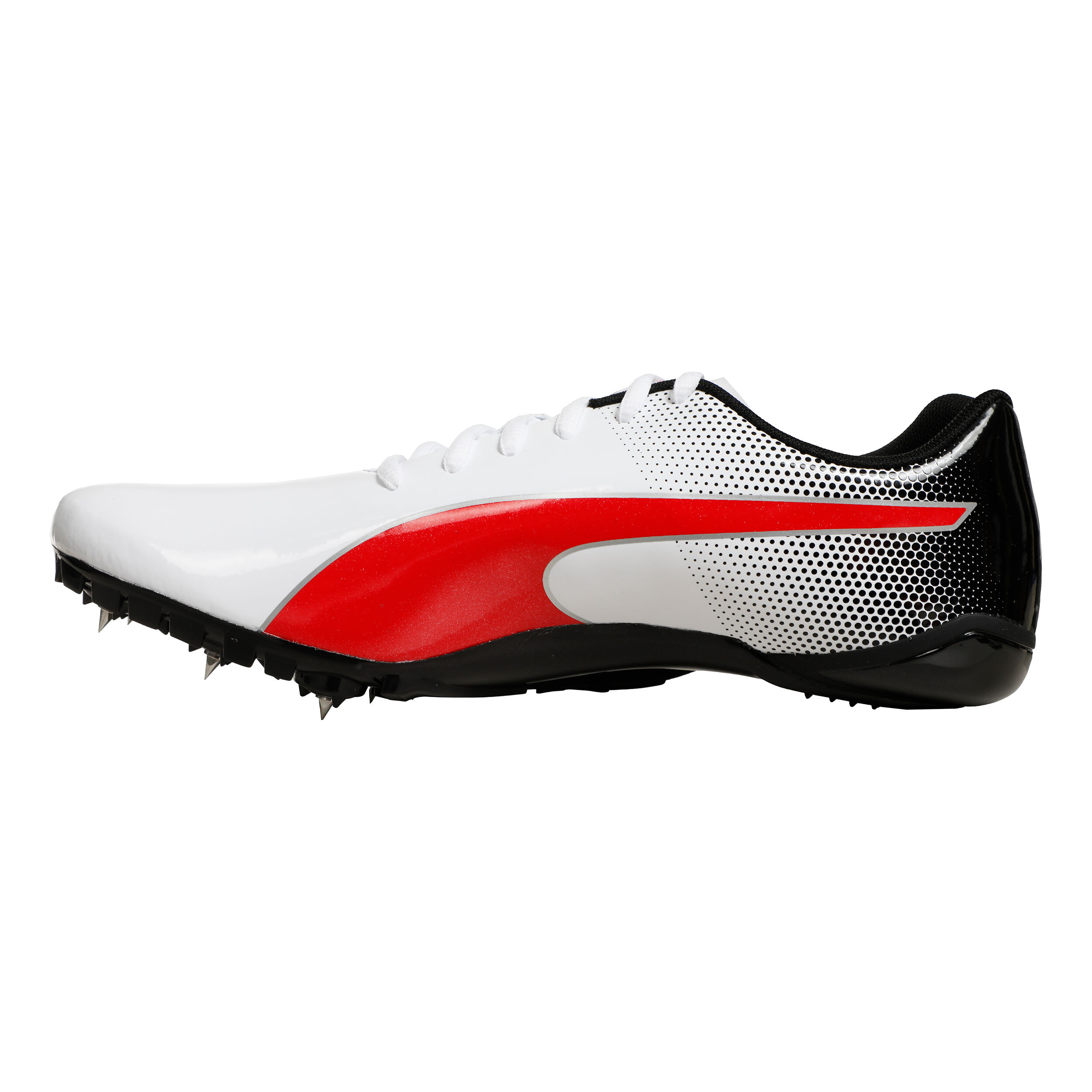 Buy Puma EvoSPEED Prep Sprint 3 Spike Shoes White Black online