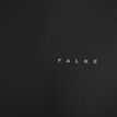 Falke