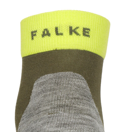 Falke