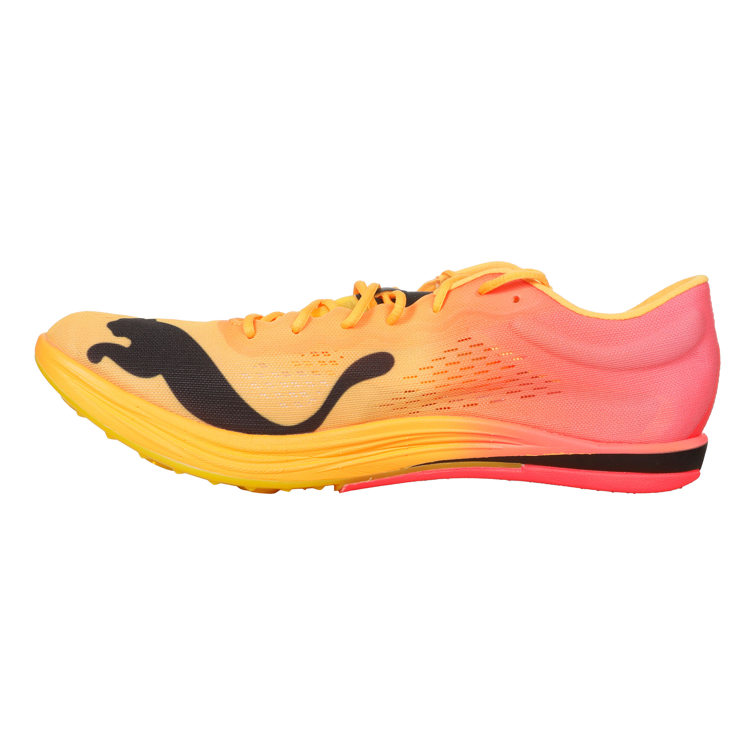 Puma long distance running shoes discount