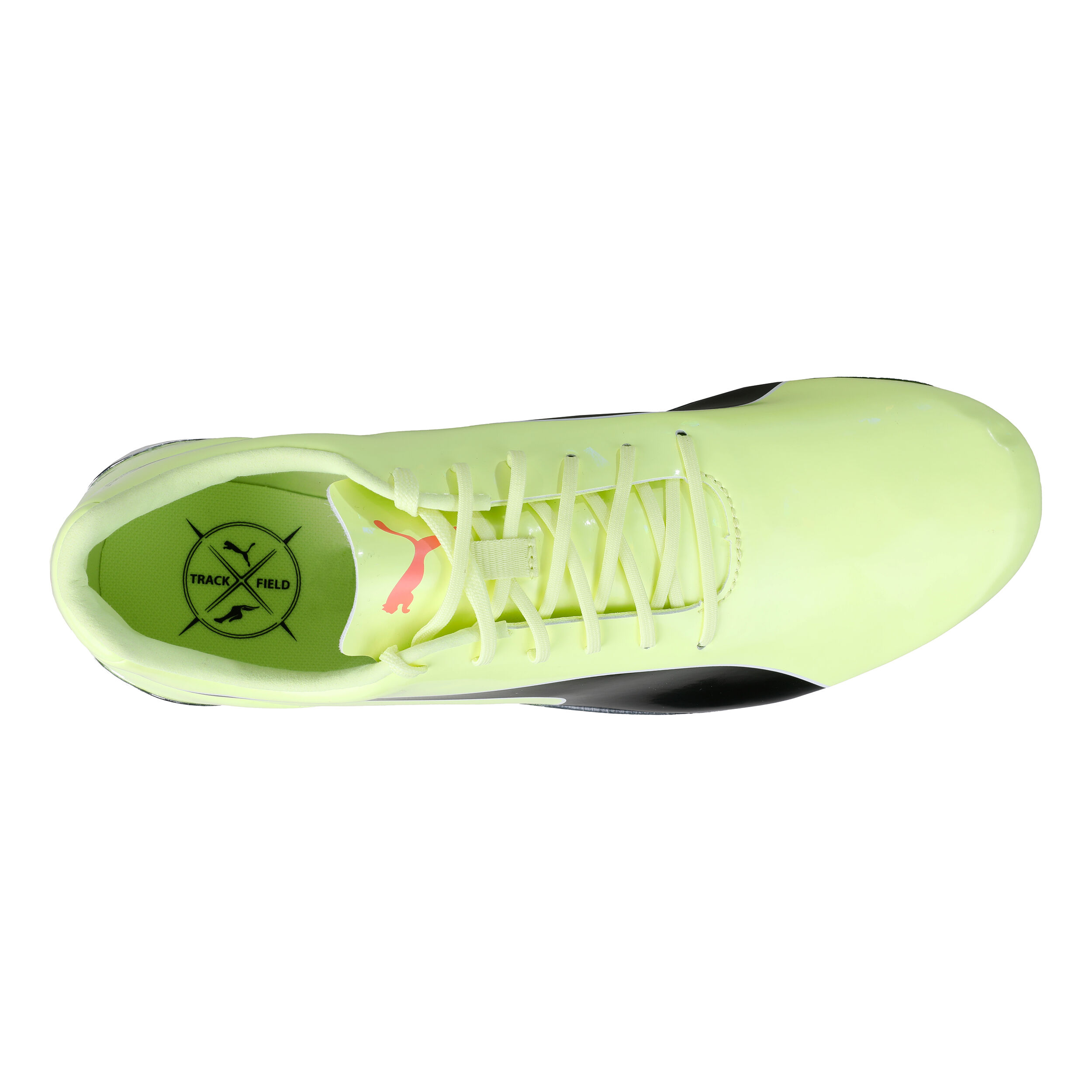 Puma evospeed clearance cricket shoes