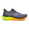 Triumph 23 Neutral Running Shoe Men-Grey,Multicoloured