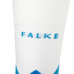 Falke
