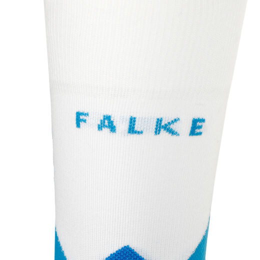 Falke