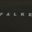 Falke