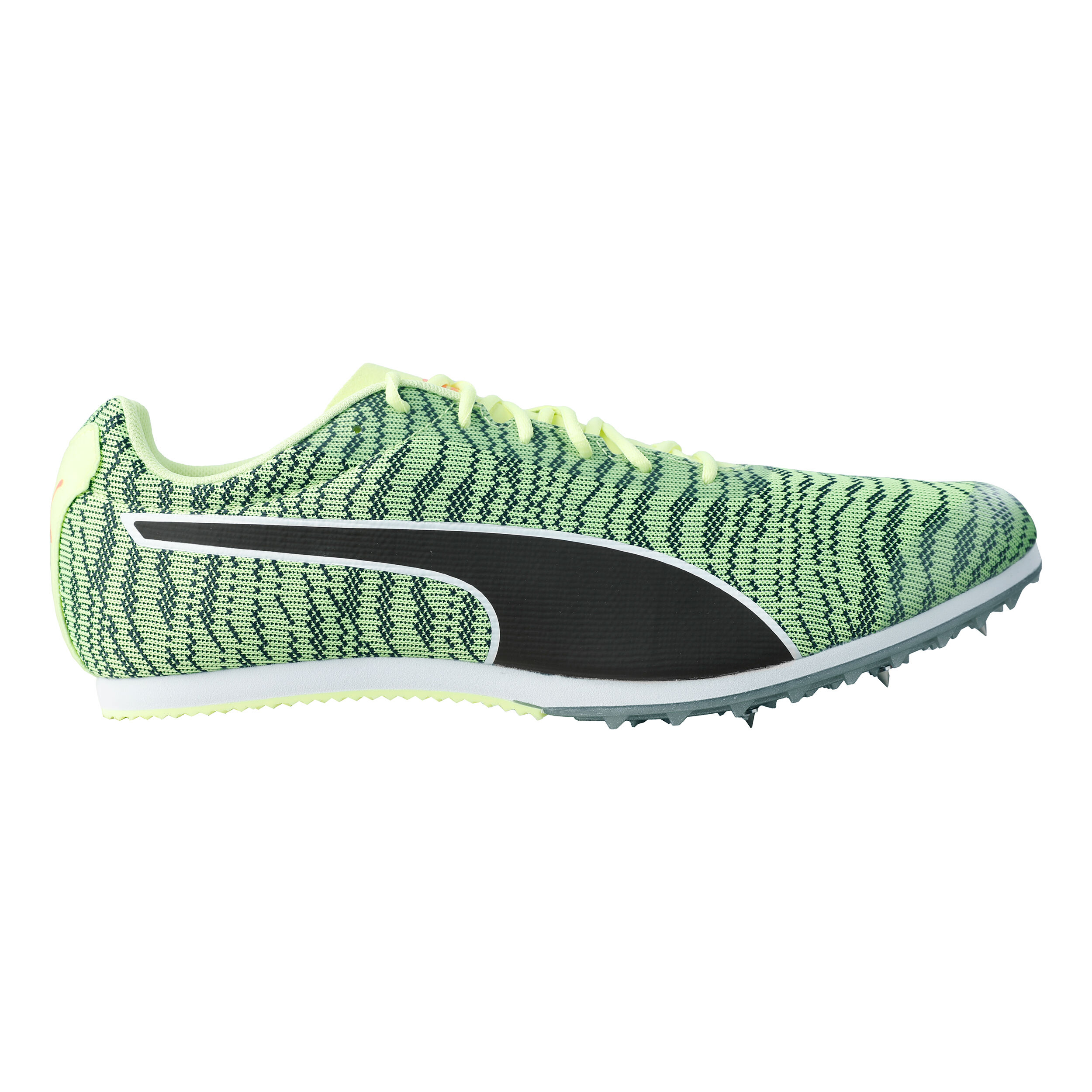 Puma evospeed sales star 6
