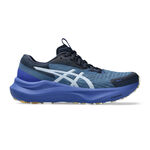 ASICS Running shoes ASICS GT-2000 14 Lite-Show Stability running shoe Women - blue grey, blue