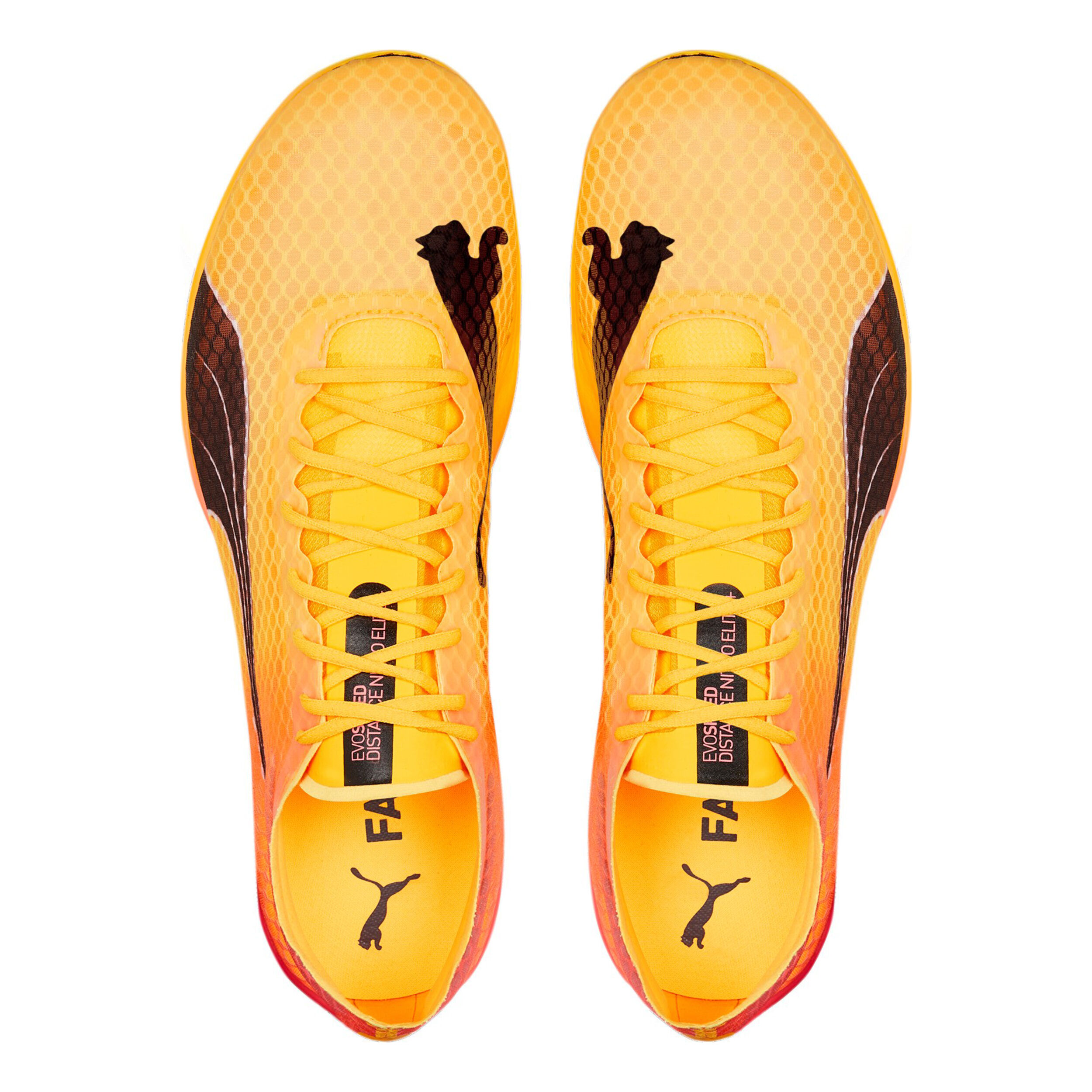 Speed 6 shop puma