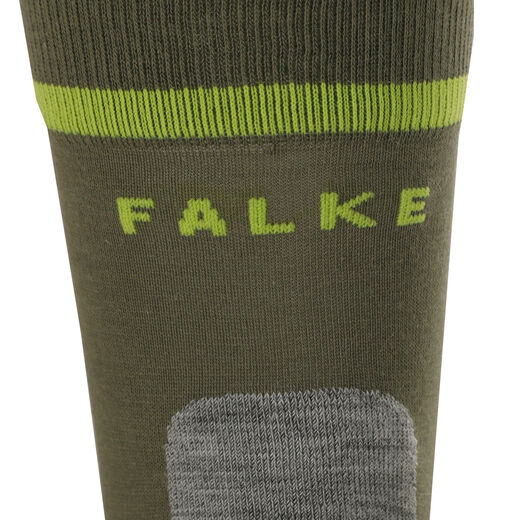 Falke