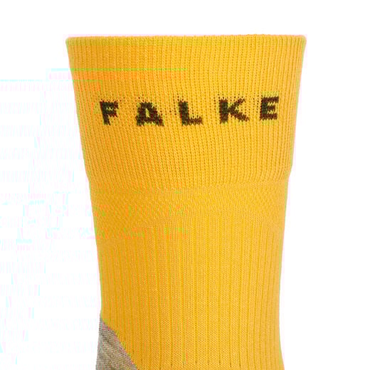 Falke