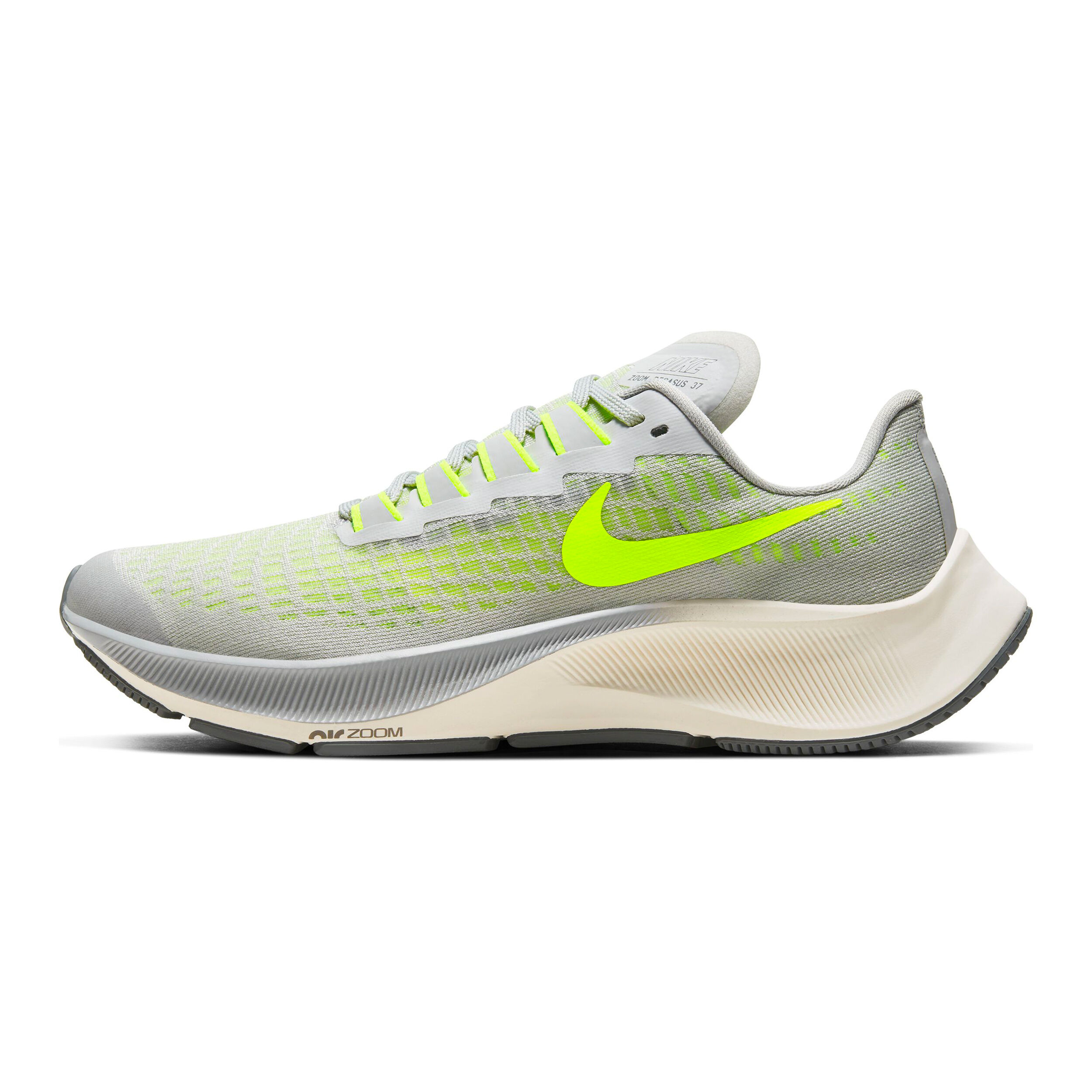 Pegasus 37 niño outlet