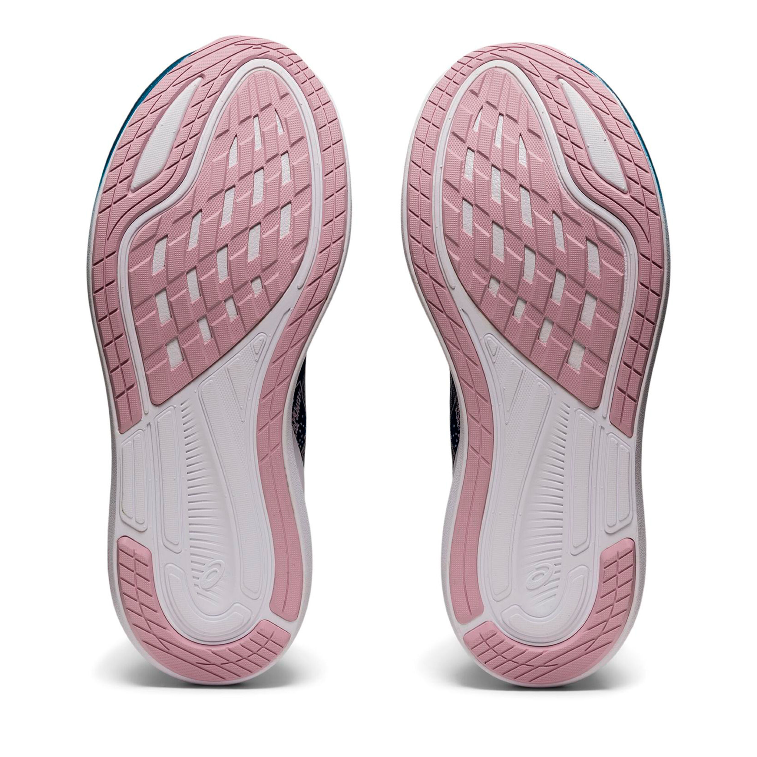 Buy ASICS Evoride 3 Neutral Running Shoe Women Blue Silver online Running Point UK