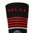 Falke