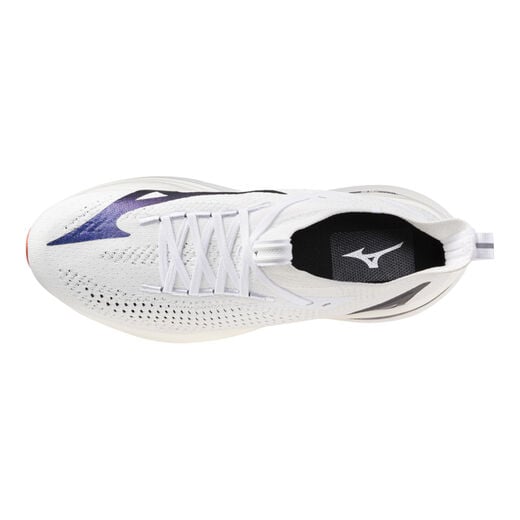 Mizuno