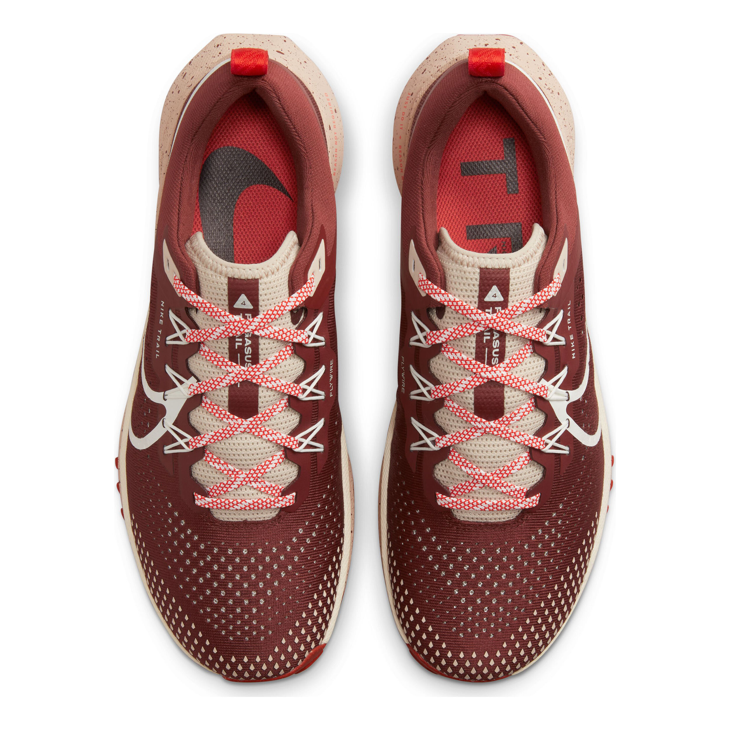 Browns pegasus 2025