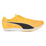 Puma Running shoes Puma EvoSPEED Distance 11 Spike Shoes-Orange,Black