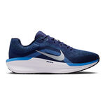 Nike Winflo 11