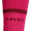 Falke