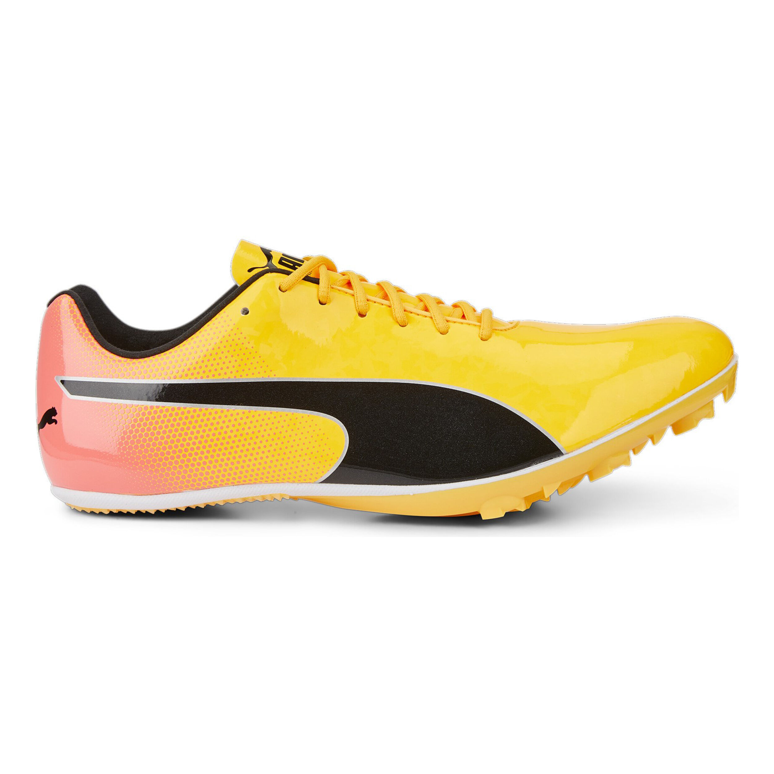 Buy Puma EvoSPEED Sprint 14 Spike Shoes Yellow Orange online